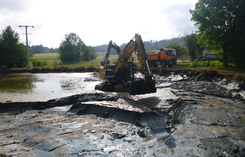 Weiherentlandung Bersbronn